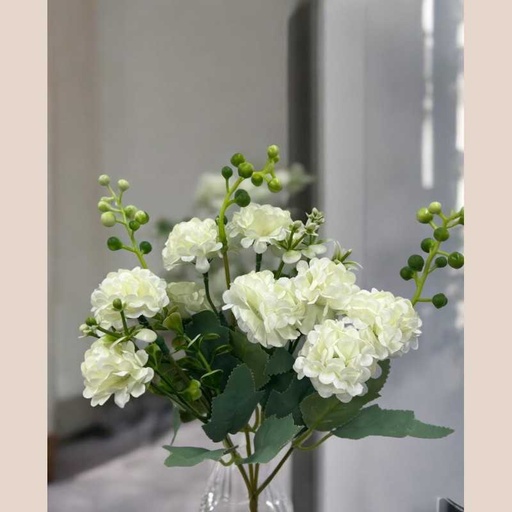 Bouquet d'horesias blanc