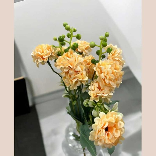 Bouquet d'horesias beige