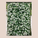 Plaque verdure