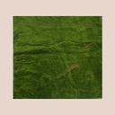 Plaque mousse vert