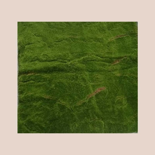 Plaque mousse vert