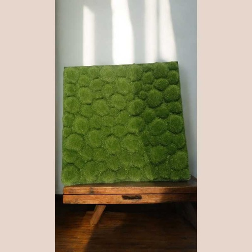 Plaque mousse vert 50 x50