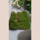 Plaque mousse stabilisée