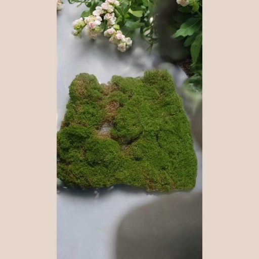Plaque mousse stabilisée