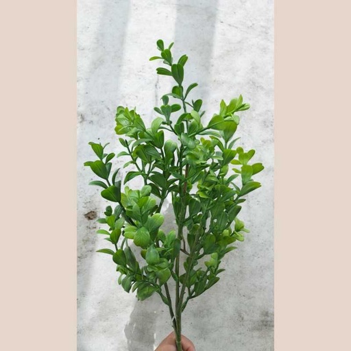 Bouquet eucalyptus