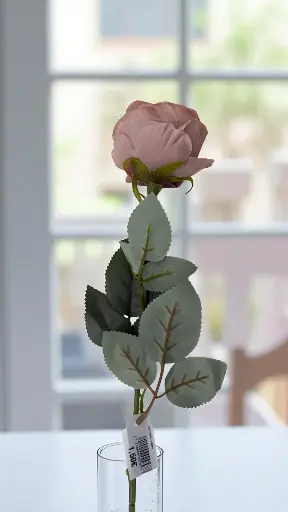 Tige roses-mauve