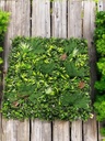 Plaque verdure-  1mx1m