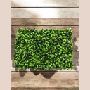 Plaque verdure 40x60 cm