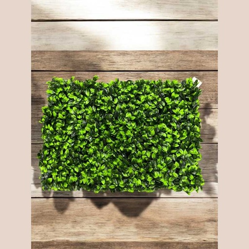 Plaque verdure 40x60 cm