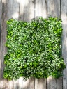 Plaque verdure -  50x50 cm