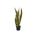 Plante pvc 20x20x74 serpent