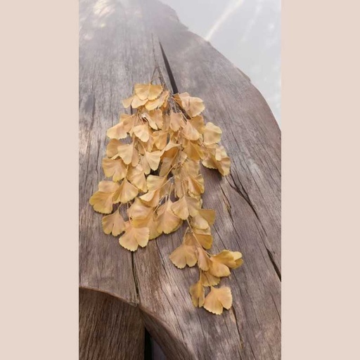 Plante pe fer 15x15x76 suspendu coul jaune