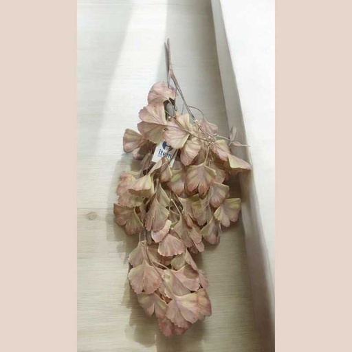 Plante pe fer 15x15x76 suspendu coul marron