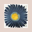 Coussin floa blanc/navy