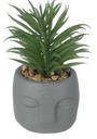 Plante pot ciment gris