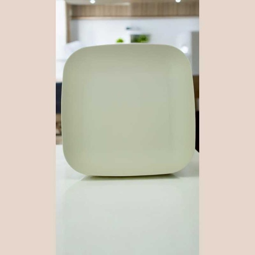 Plateaux carre pp 28*28cm x2 ivoire