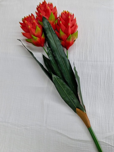 Fleurs 