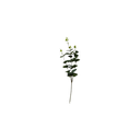 Tige eucalyptuse vert plastique