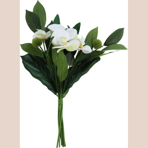 Bouquet orchidé blanc fleur vert