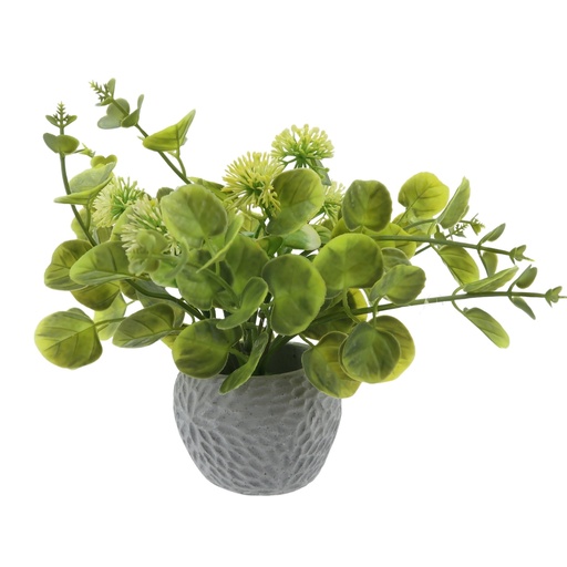 Fleur petit pot gris fleurs eucalyptus coloris vert