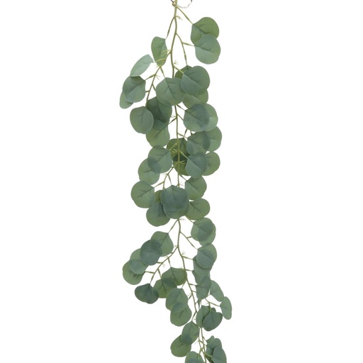 Lianne eucalyptus 120cm