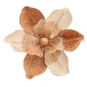 Fleurs de noël 02180