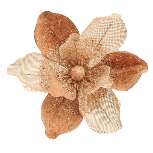 Fleurs de noël 02180