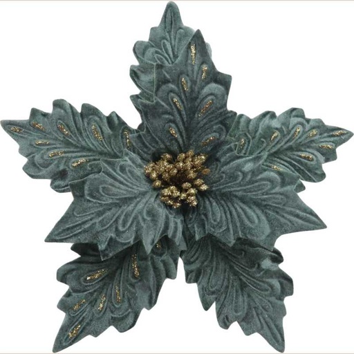 Fleurs de noël 02281