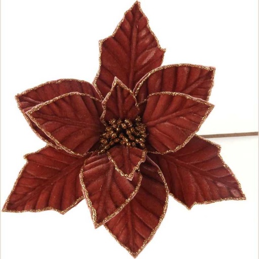 Fleurs de noël 03180