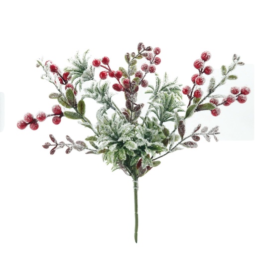 Fleurs de noël 04039