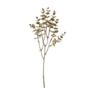 Fleurs de noël 108jym-0802