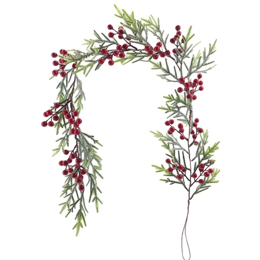 Fleurs de noël 13437