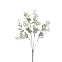 Fleurs de noël 1924006