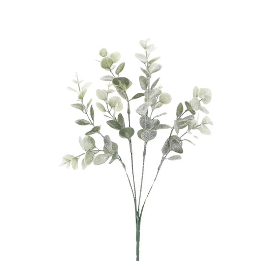 Fleurs de noël 1924006