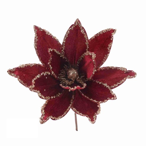 Fleurs de noël 2324012
