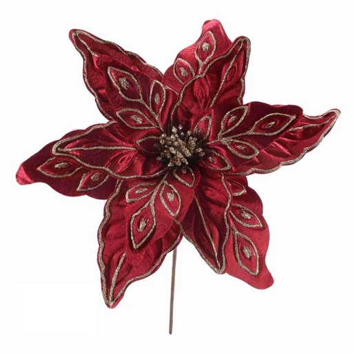 Fleurs de noël 2324013