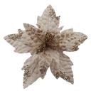 Fleurs de noël 23466