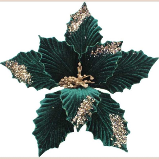 Fleurs de noël 23821