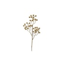 Fleurs de noël 26628
