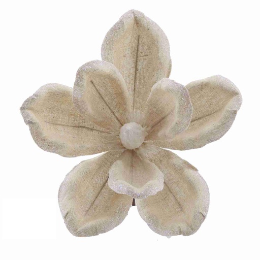 Fleurs de noël 30953
