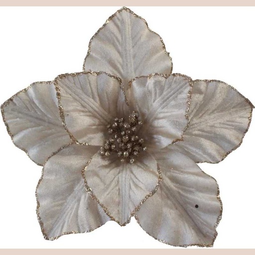 Fleurs de noël 37092