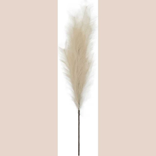 Pampas blanc h100cm