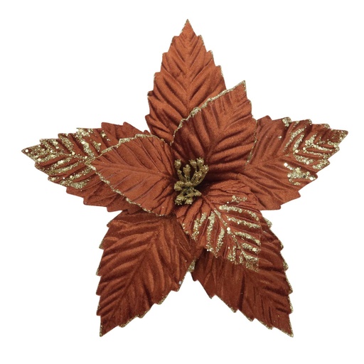 Fleurs de noël 45046