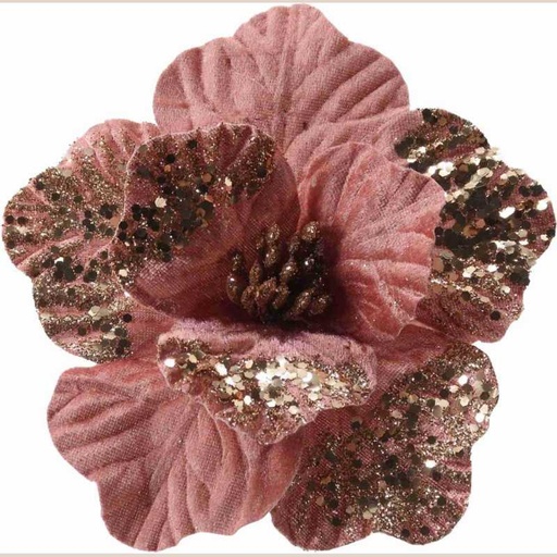 Fleurs de noël 71161