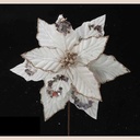 Fleurs de noël 7924335