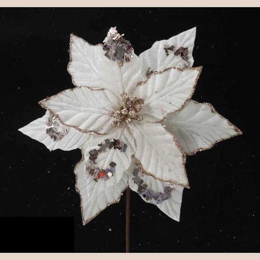Fleurs de noël 7924335