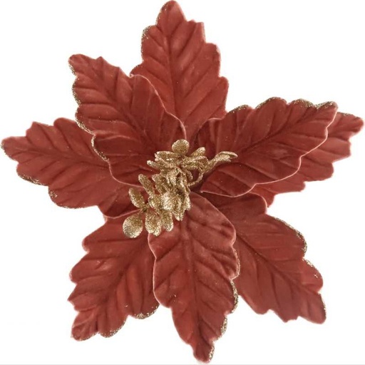 Fleurs de noël 92772
