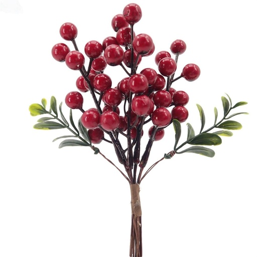 Fleurs de noël 92922