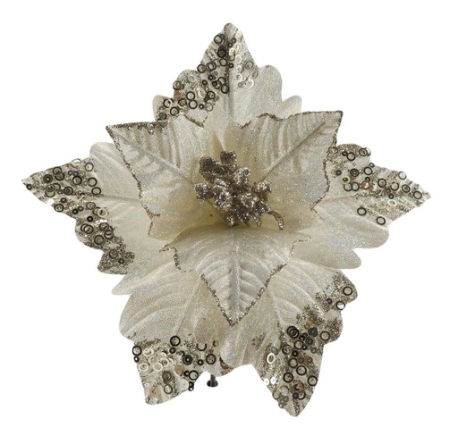 Fleurs de noël f223145