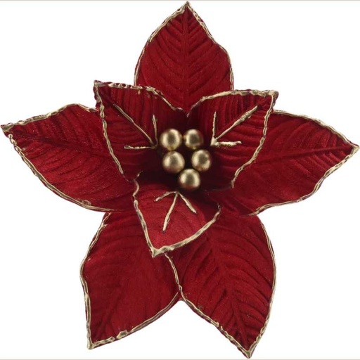 Fleurs de noël f223152